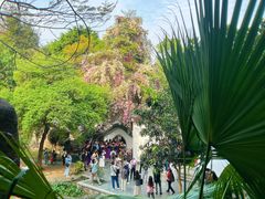 -深圳国际园林花卉博览园