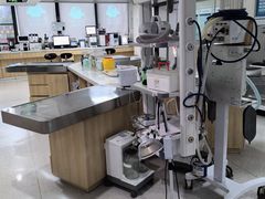 -谐和贝康宠物医院24小时·宠保定点(急重症转诊中心)