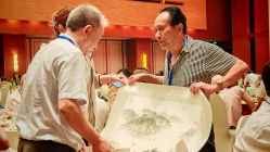 -光大会展中心国际大酒店-宴会厅