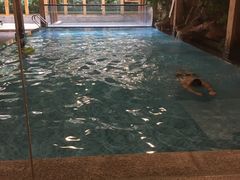 -御池园(顾村公园店)