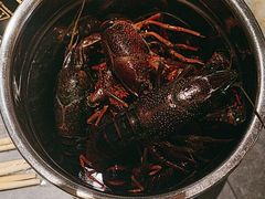 -鼎香缘海鲜自助火锅烤肉(锦辉购物广场店)