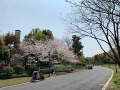 -杭州城北体育公园