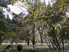-龙头寺公园