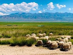 -青海湖国家重点风景名胜区