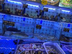 -日照大牌檔•小船海鲜(万平口店)