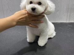 -宠颐生动物医院·小陆分院
