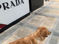 -王府井奥莱临潼小镇(临潼店)