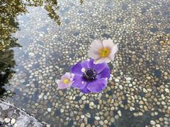 -海上田园