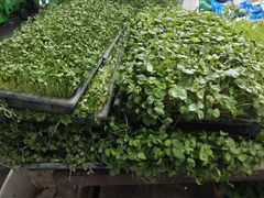 -江杨农产品批发市场