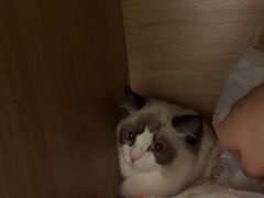 -艾贝尔宠物医院 ·中兽医·宠保定点(北门桥店)