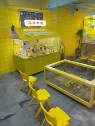 -神奇动物撸宠馆·羊驼·小浣熊·异宠(豫园店)