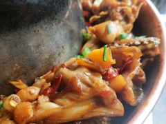 -北龙碳锅牛蛙(尚泽大都会店)