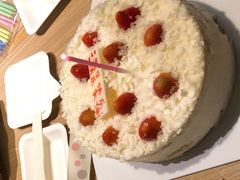 -维尔纳斯·生日蛋糕动物奶油冰淇淋蛋糕(人大店)