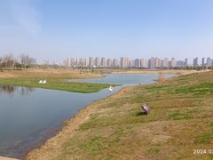 -洋湖国家湿地公园