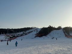 -东北亚滑雪场