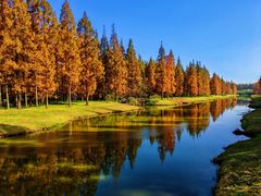 -黄海国家森林公园