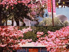 -东莞观音山旅游风景区