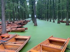 -渌洋湖湿地公园