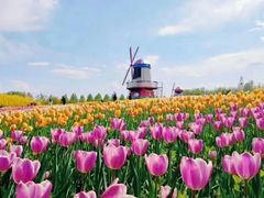 -北京国际鲜花港