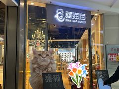 -藏猫猫咖啡主题馆(中央大道店)
