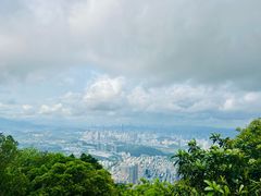 -梧桐山风景名胜区