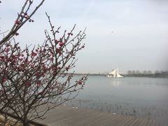 -暨阳湖生态园