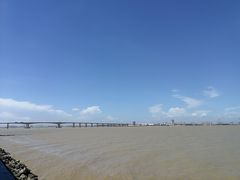 -大湾区中央湿地公园