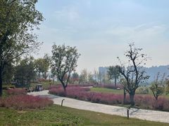 -汉长安城未央宫国家考古遗址公园