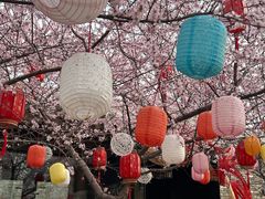 -三里河公园