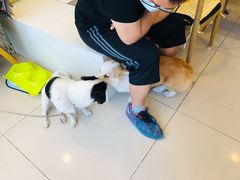 -平行世界·猫咖(首经贸店)