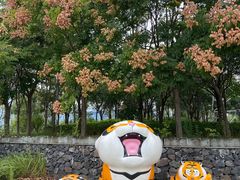 -长田漾湿地公园