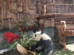 -泉州海丝野生动物世界