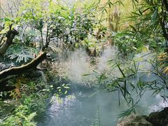 -南通洲际绿博园