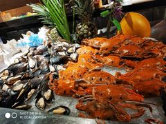 -美食汇自助餐厅(兰州万达文华酒店)