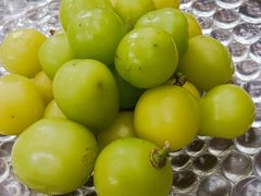 -金稼园·金平湖农家菜