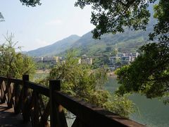 -广州市流溪河国家森林公园