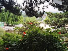 -北京西山国家森林公园