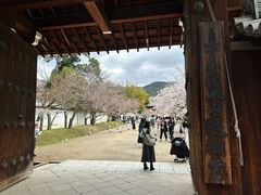 -醍醐寺