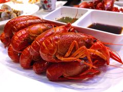 清蒸蘸水虾-霸王虾·小龙虾香辣蟹(玉林店)