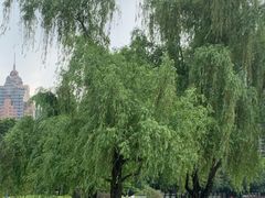 -南宁南湖公园