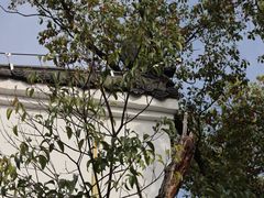 -东坡赤壁风景名胜区