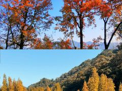 -广州市石门国家森林公园