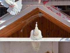 -金庭庄园酒店-停车场