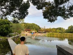 -蠡湖大桥公园