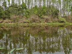 -桤木河湿地公园