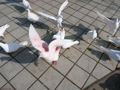 -旅顺博物馆