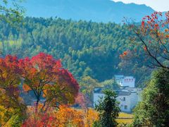 -塔川景区