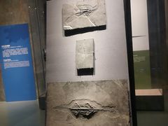 -贵州省博物馆(新馆)