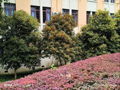 -浙江大学(玉泉校区)