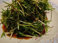 -拾宴(汇智国际商业中心店)